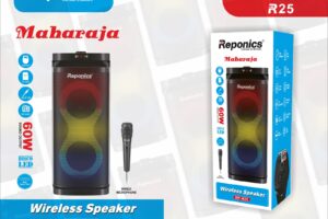 Reponics Maharaja Wireless Speaker (Model: RP-R25)